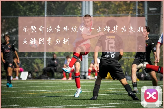东契奇谈黄蜂致命一击称其为失利关键因素分析